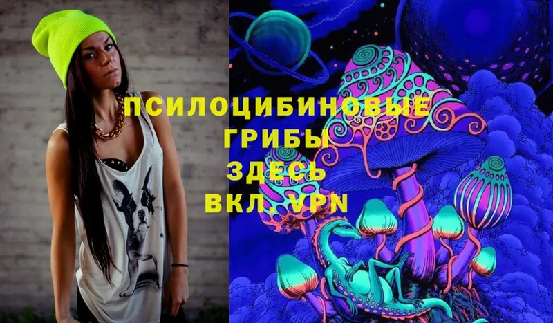 Галлюциногенные грибы Cubensis  сколько стоит  omg как войти  Железноводск 